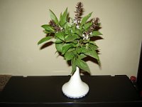 foto 076